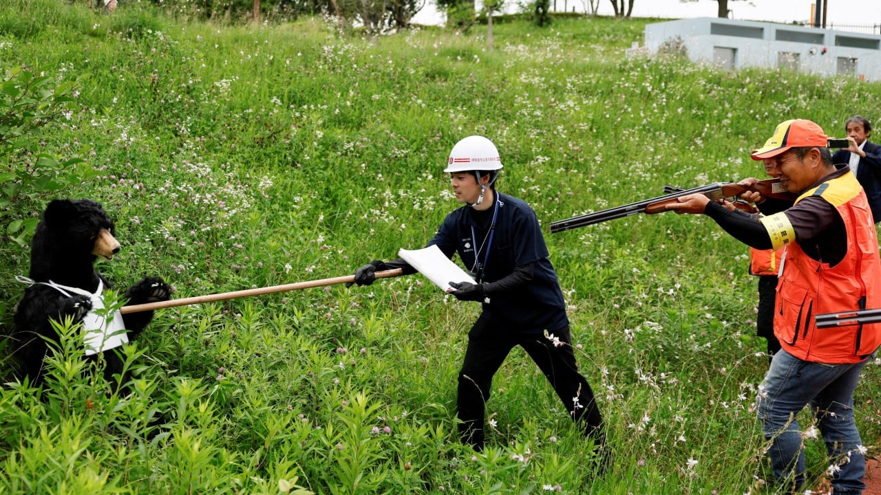How a Japanese prefecture is managing rising bear population with microchips