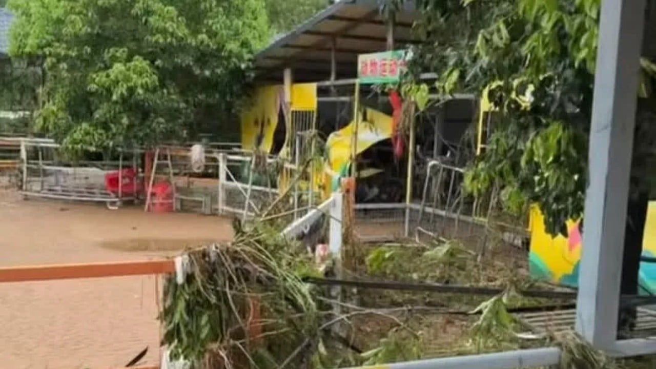 Lions dead, zebras on the run as floodwaters devastate zoo in southern China