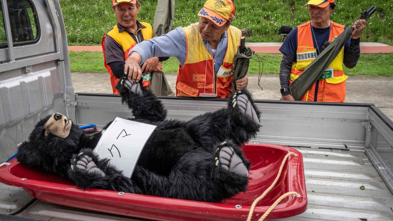 Investors have more to worry about than yen bears on the hunt