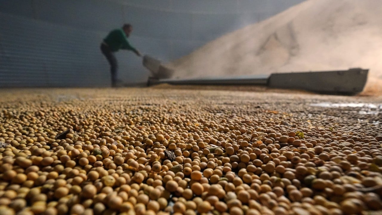 Is China’s biggest daily US soybean order confirmation of Xi-Trump summit pact?