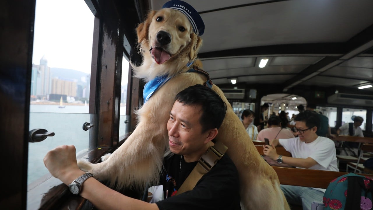 Hong Kong’s Star Ferry seeks 30% fare rise, eyes pet-friendly service