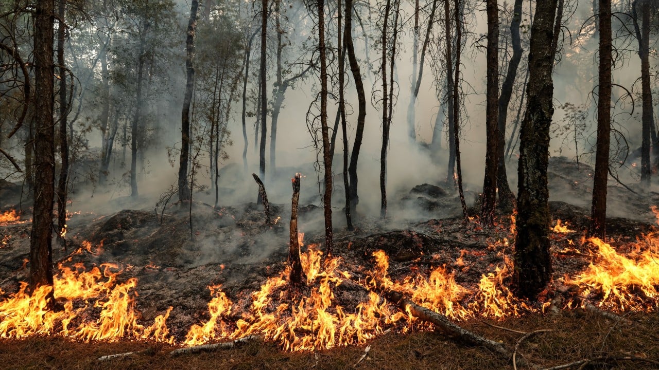 2 arrested over Fontainebleau forest fire near Paris, interior minister says