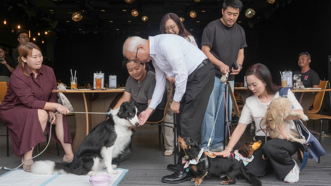 Watchdog urges pet owners to be mindful of terms and conditions of insurance plans