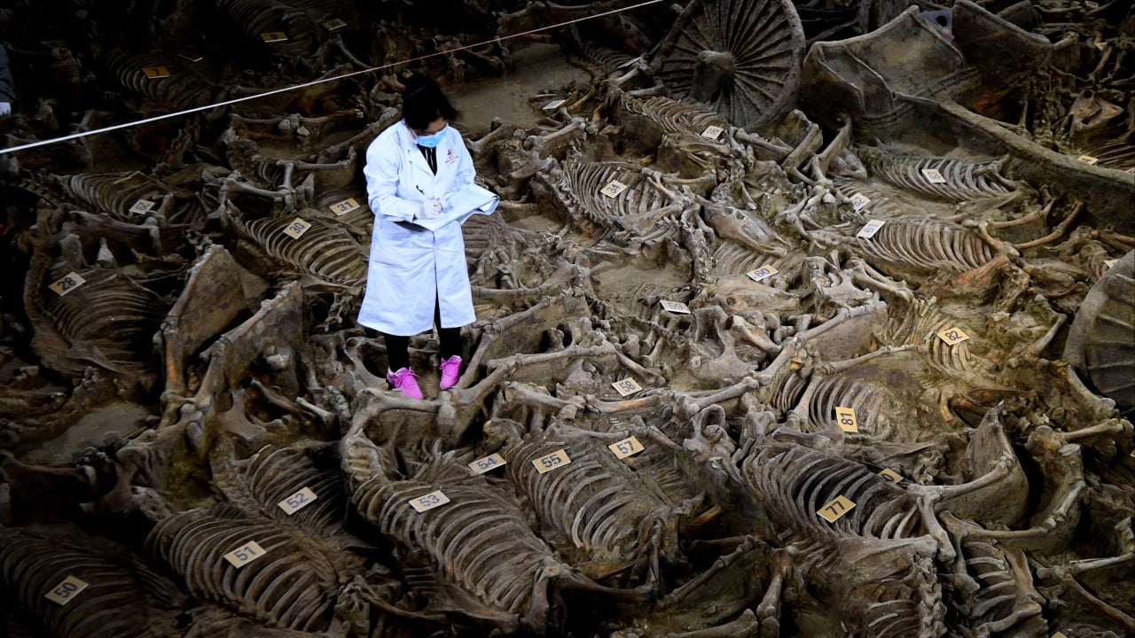 Hegemony or balance of power? What the wars of ancient China teach us