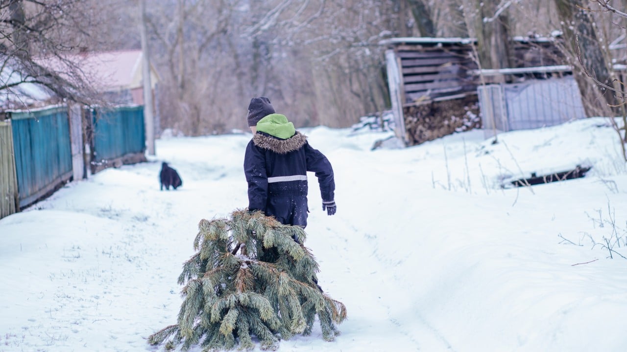 Christmas tree troubles, new Pacific missile launch: 7 US-China relations reads