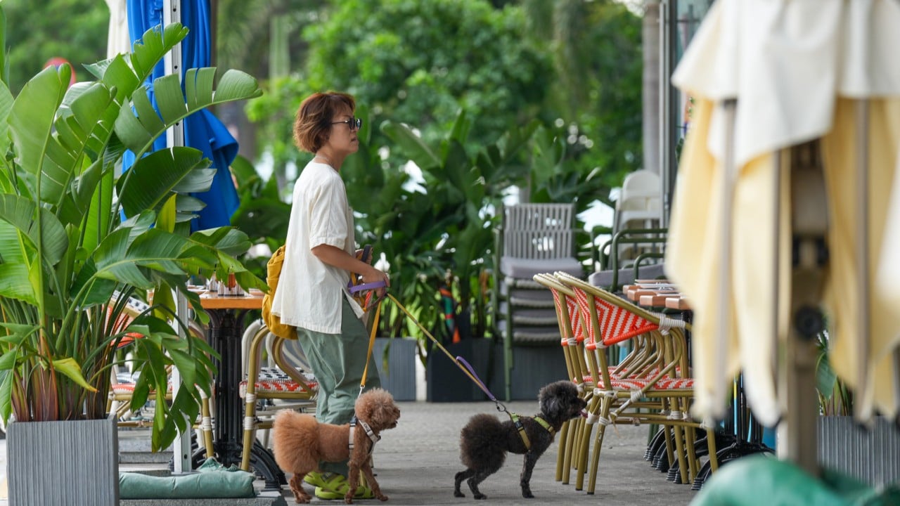 Brunch with your bichon frise? Some dog owners say pet dining off to ruff start
