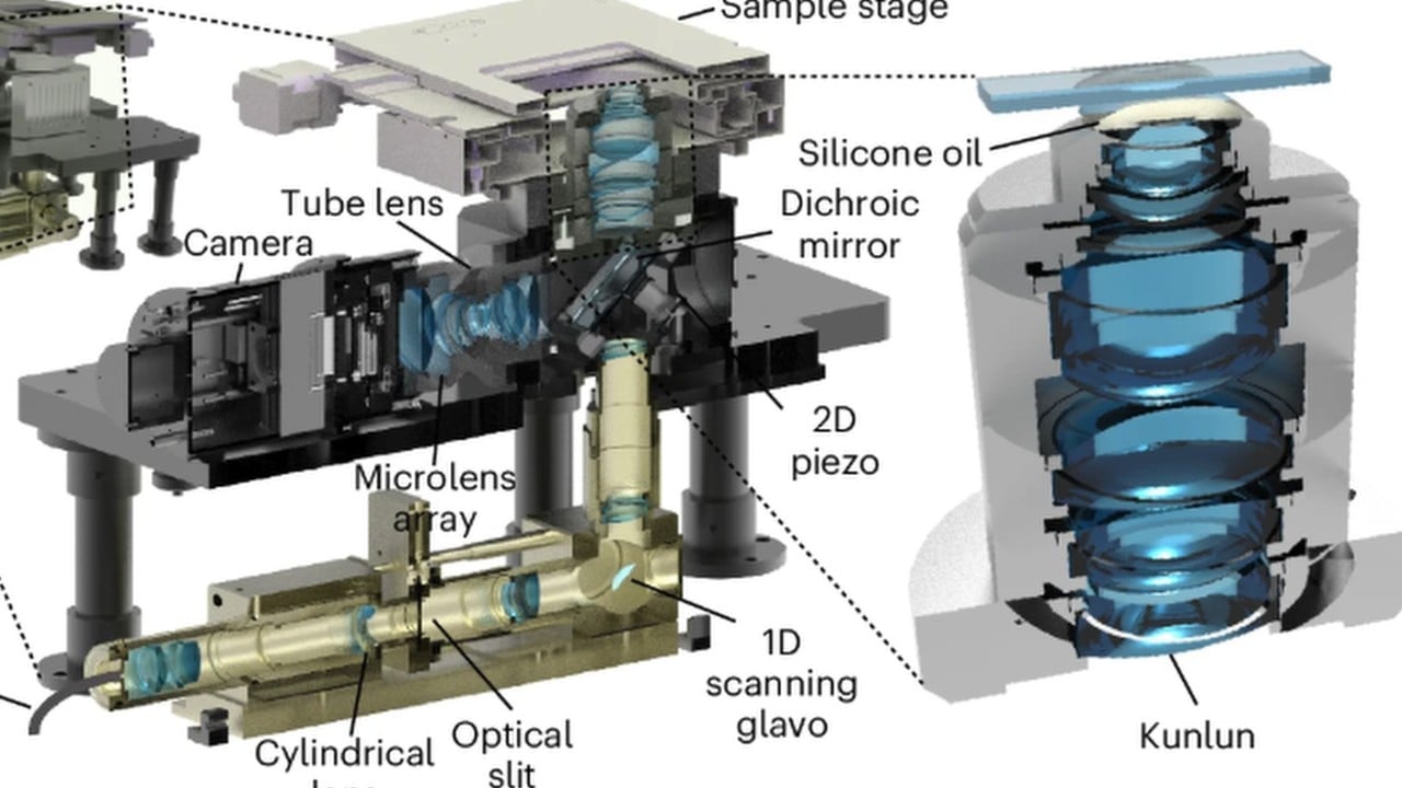 In a first, Chinese team’s super microscope captures how acupuncture calms cell chaos