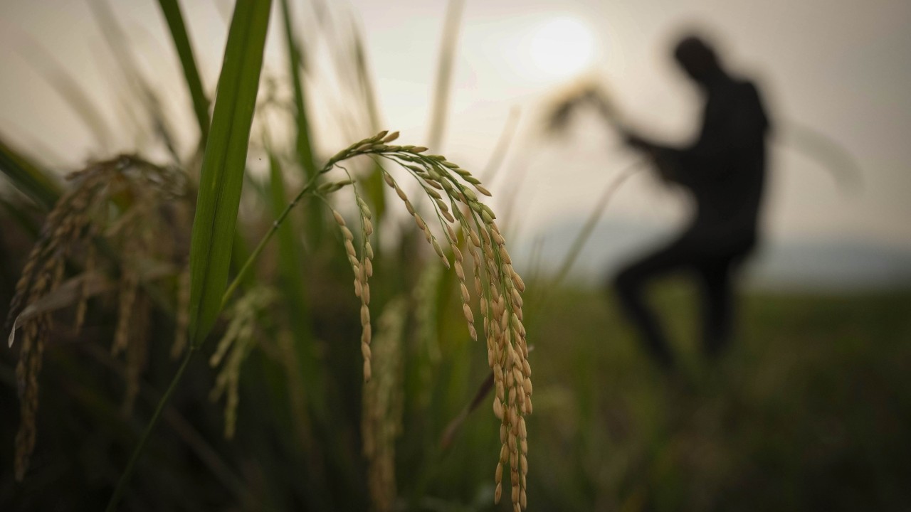 Why the spectre of ‘climate black swan’ events is haunting global investors