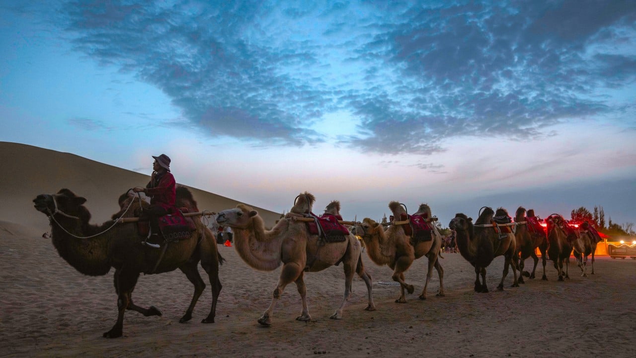 Long before the Silk Road, silkworm cocoons already existed in Uzbekistan