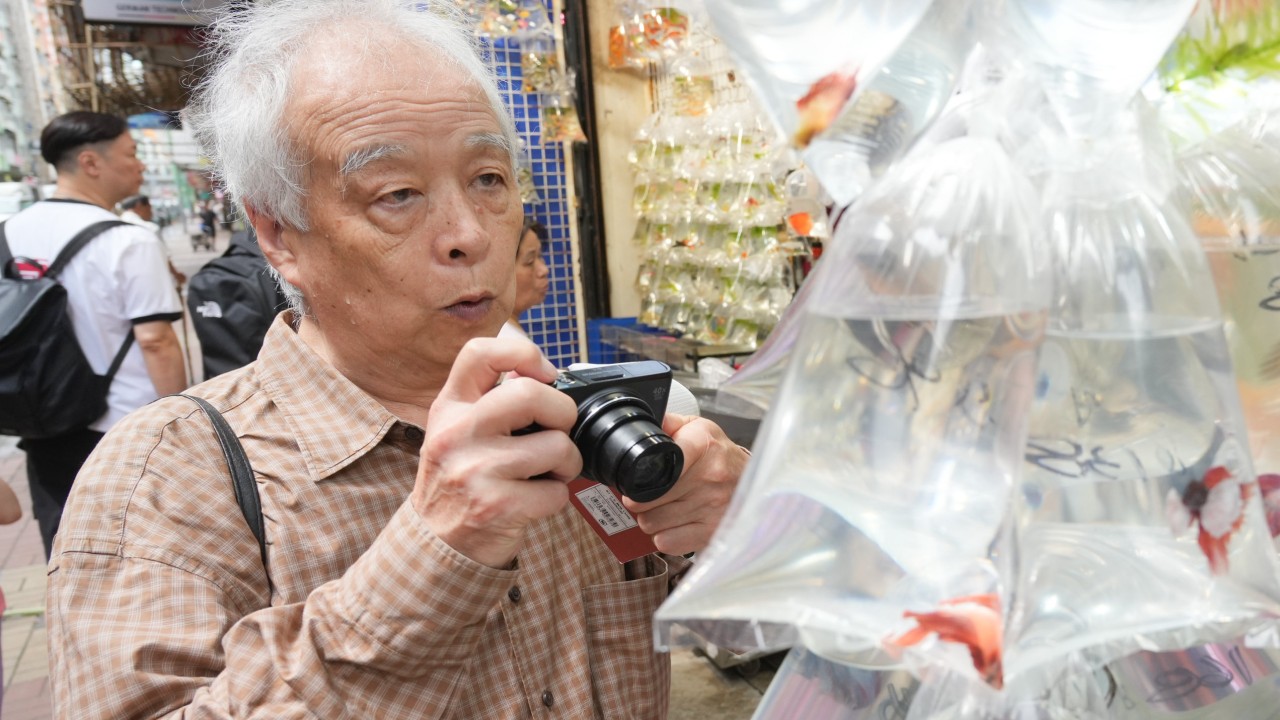 We join Japanese artist Shigeo Otake on his first real Hong Kong visit. It is different