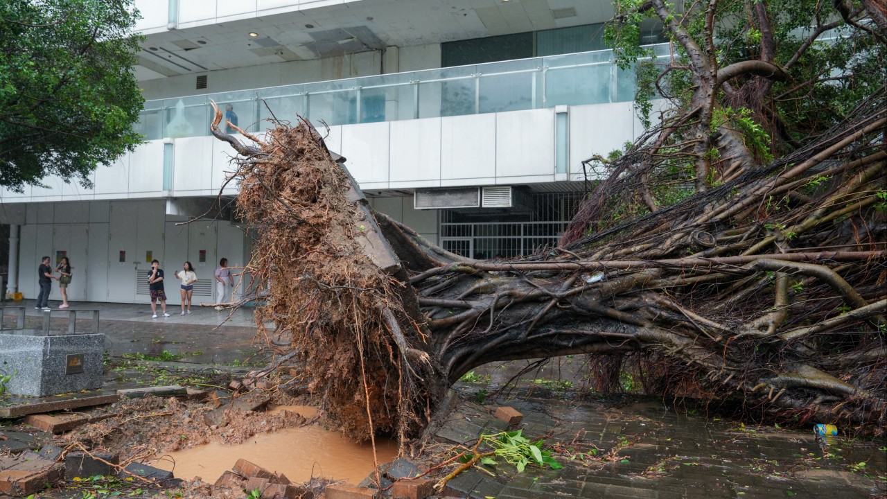 Hong Kong set for stronger storms and wetter winter this year as El Nino intensifies