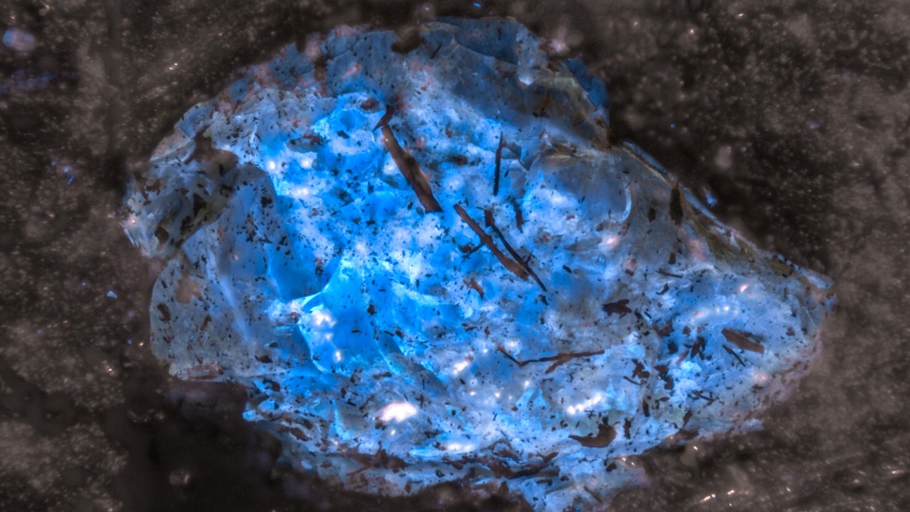 China team unearths world’s oldest amber, hidden in ancient Xinjiang coal seam