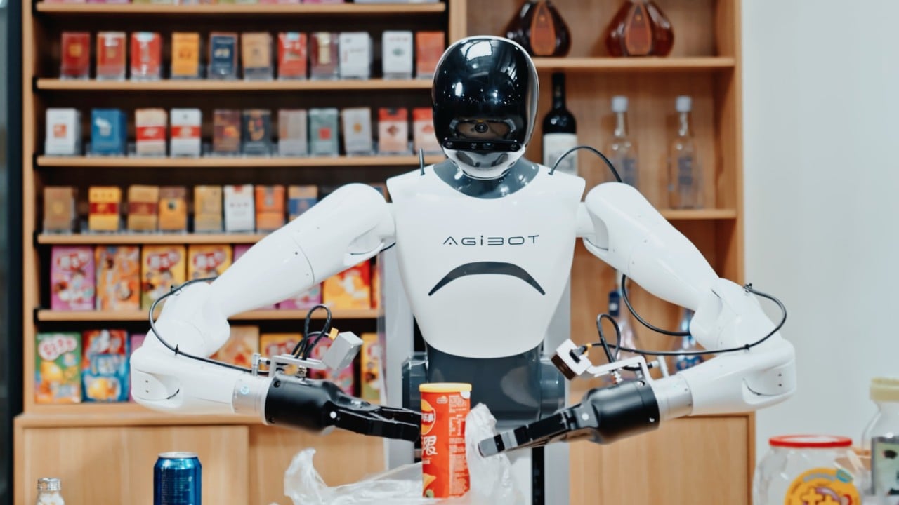 US bans new Chinese robots, power inverters in latest tech crackdown