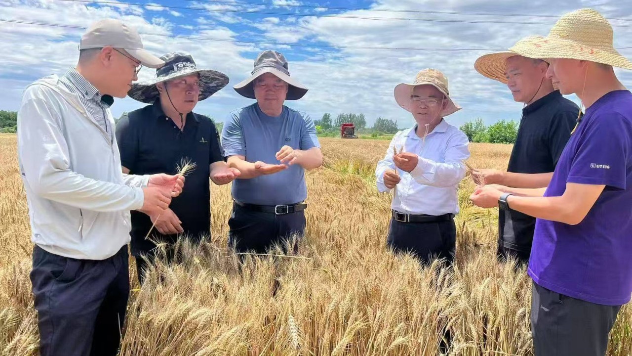China is making a great leap forward in food production – this time for real