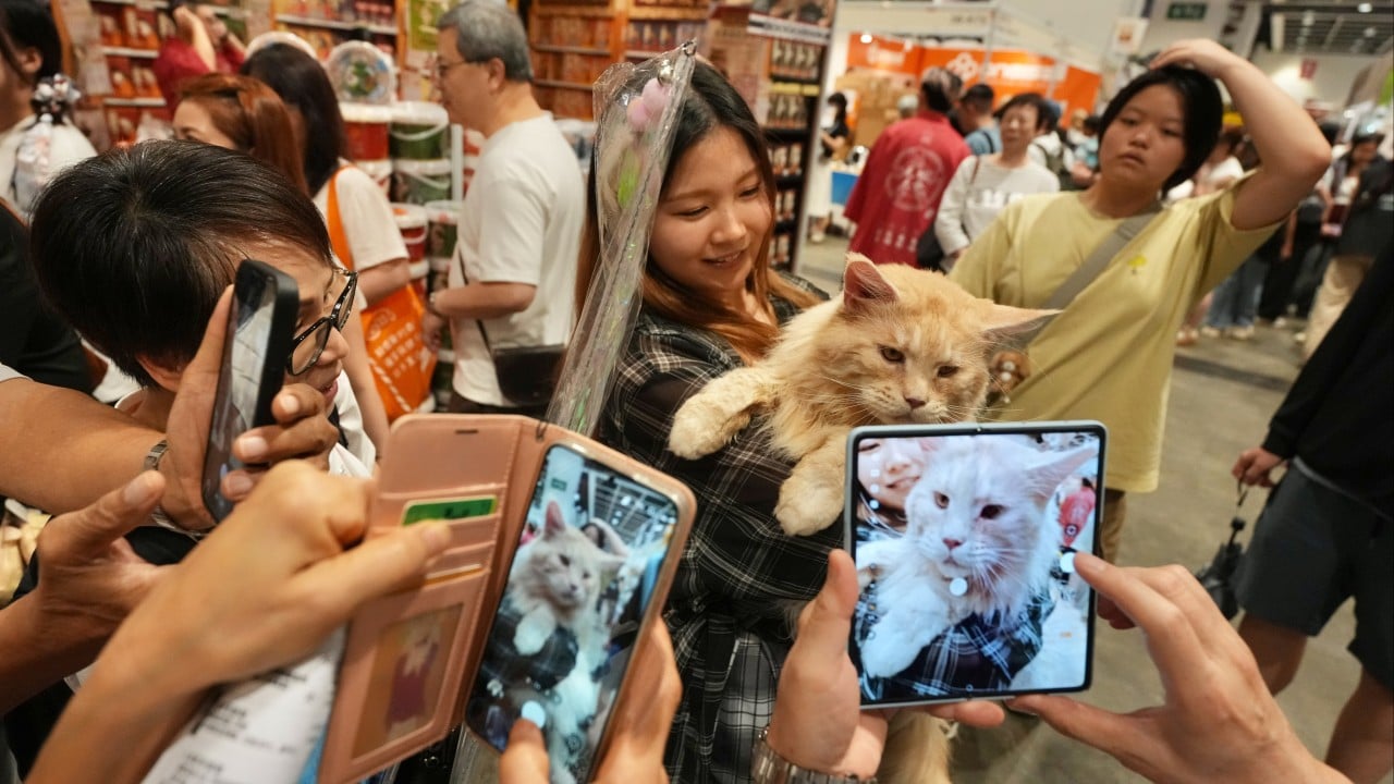 Spend HK$10,000 a month on your pets? Why not, say cat lovers at Hong Kong expo