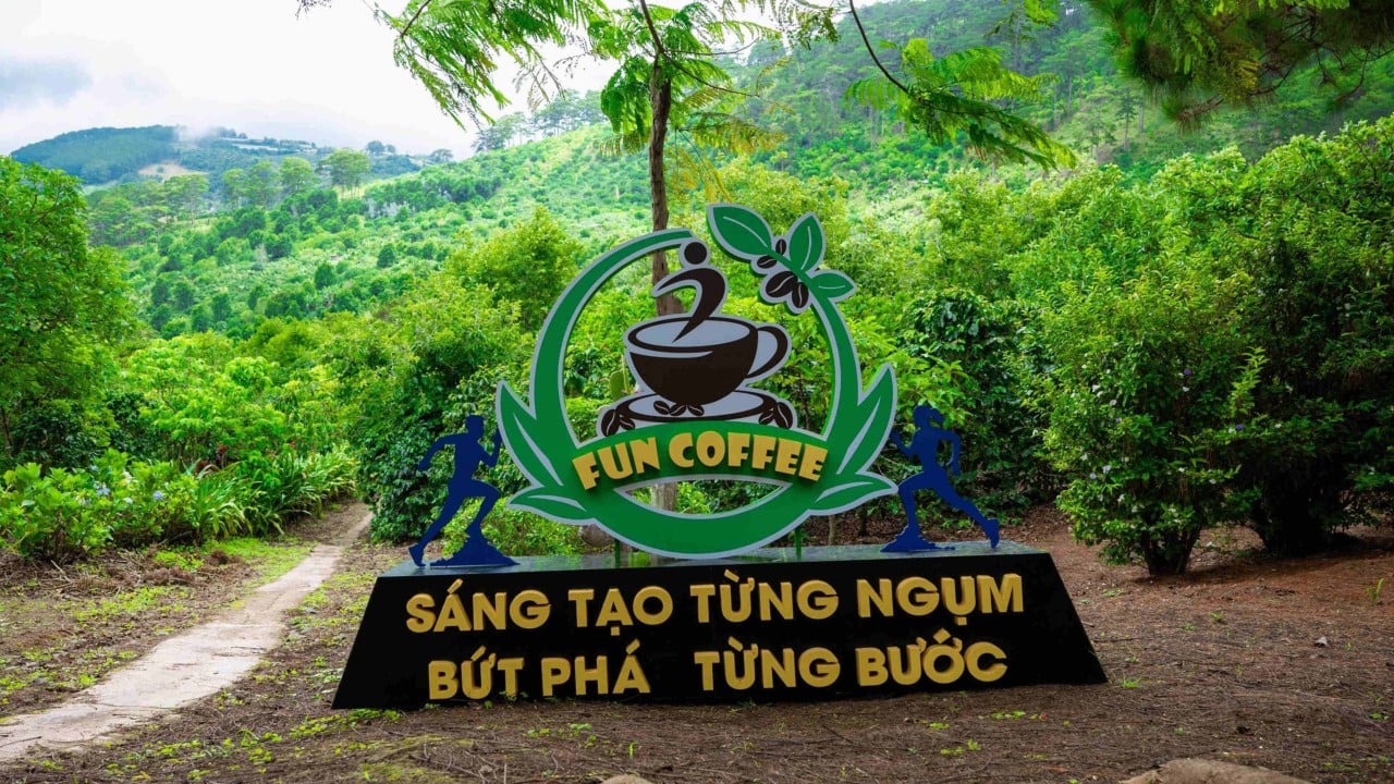 Hong Kong, Macau police arrest 8 over HK$100m Vietnam coffee investment scam