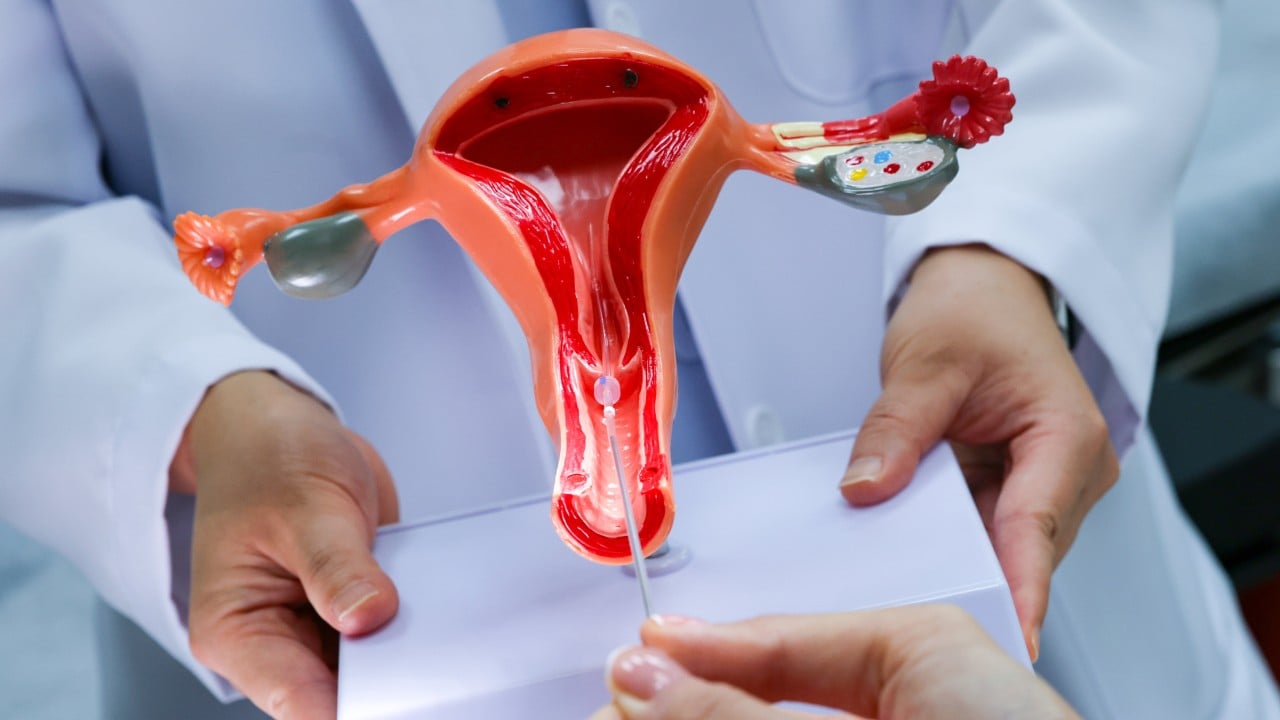 More checks for embryo biopsies, overhaul reproductive tech law, DAB urges