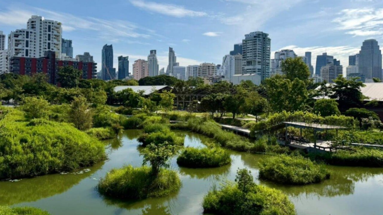 Bangkok branches out: secret to Thai capital’s green revival