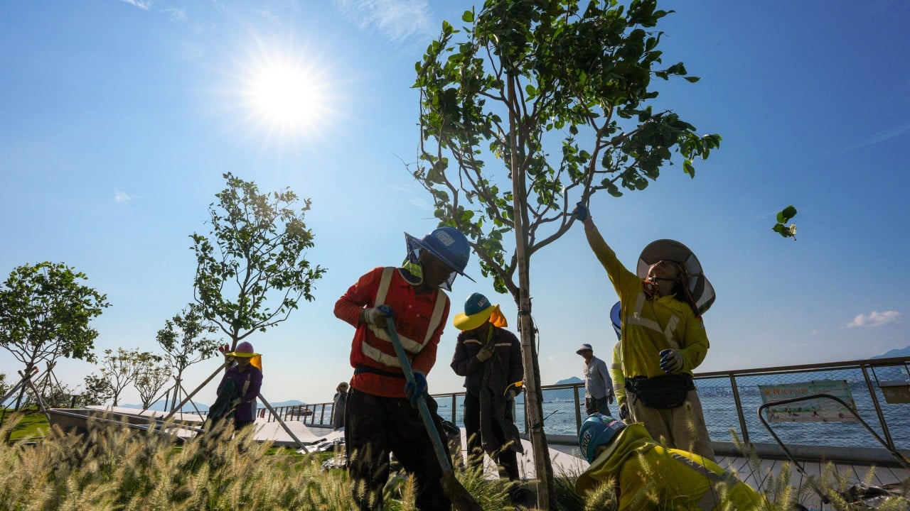 Calls for system review after lowest alert in force during record-breaking heat