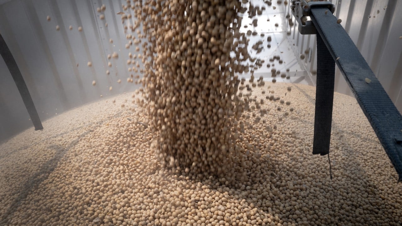 Fearing deflated China demand, US soybean growers pivot to new buyers and biofuel