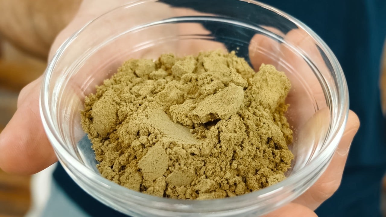 Chinese yeast factory boosts cancer drug production speed 1,000 times