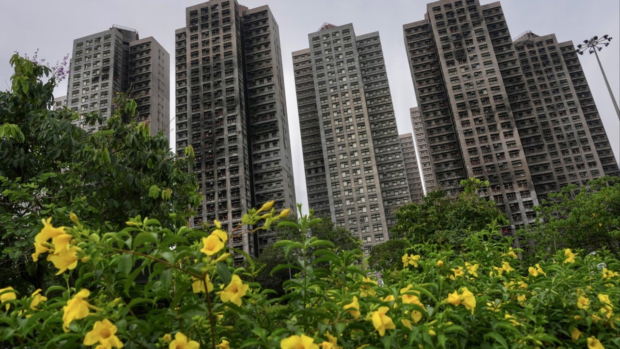 Supplier says subcontractor ordered non-fire-retardant nets before Tai Po blaze