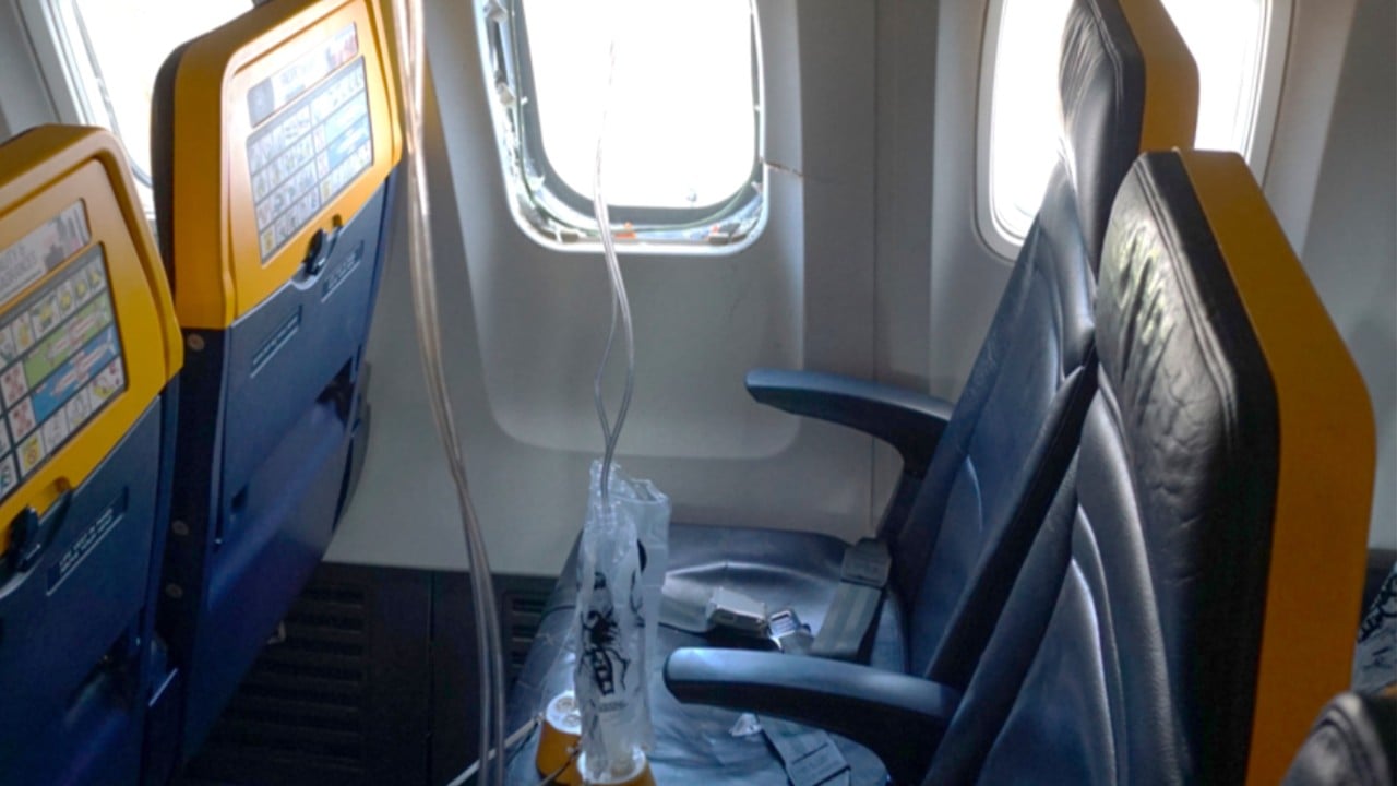 Bird remains found in engine after man nearly sucked out of window on Ryanair flight