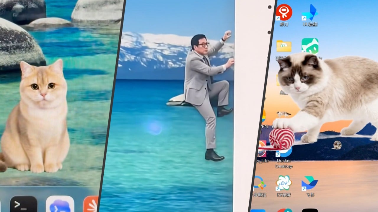 Chinese workers turn bosses into virtual pets for stress relief amid rising quirky trend