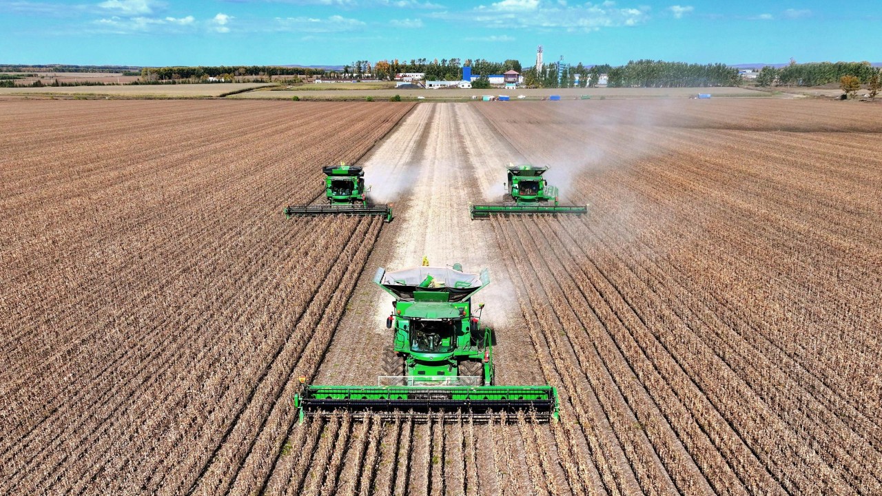 China enlists AI in hunt for better soybeans, but self-sufficiency unlikely any time soon