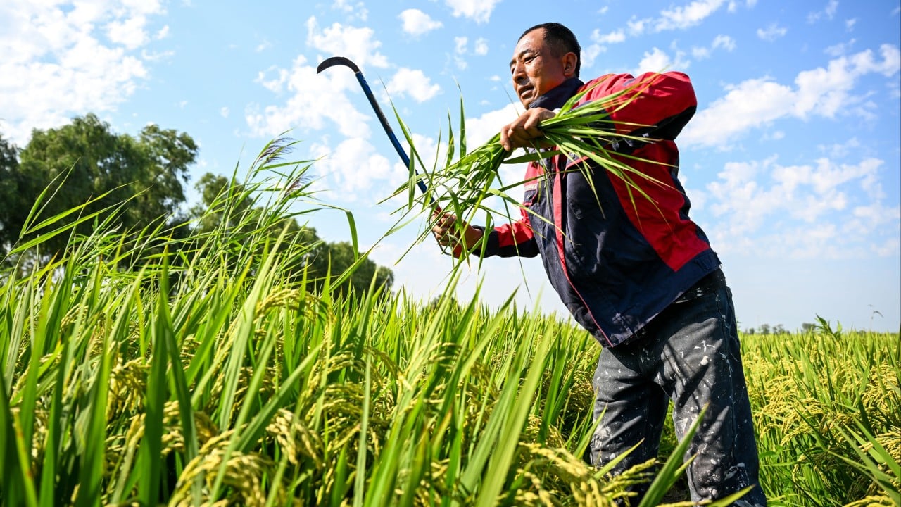Asia-Pacific Family Offices Increase Sustainability and ESG Allocations
