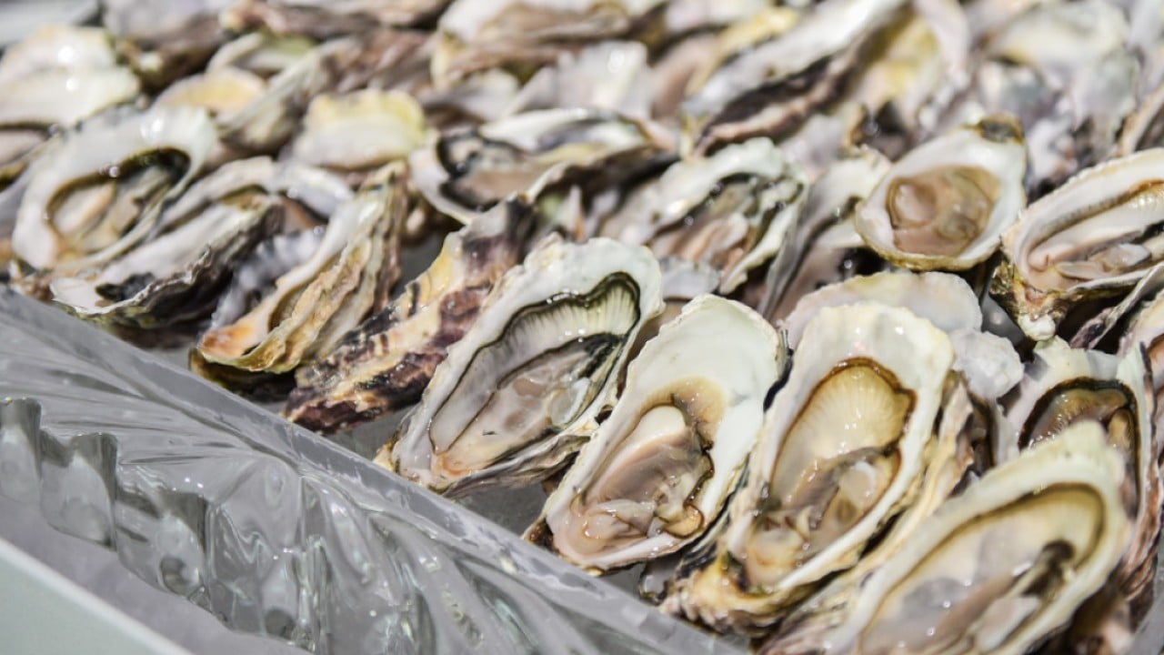 Shellfish thieves in Australia make off with 400,000 oysters worth US$250,000
