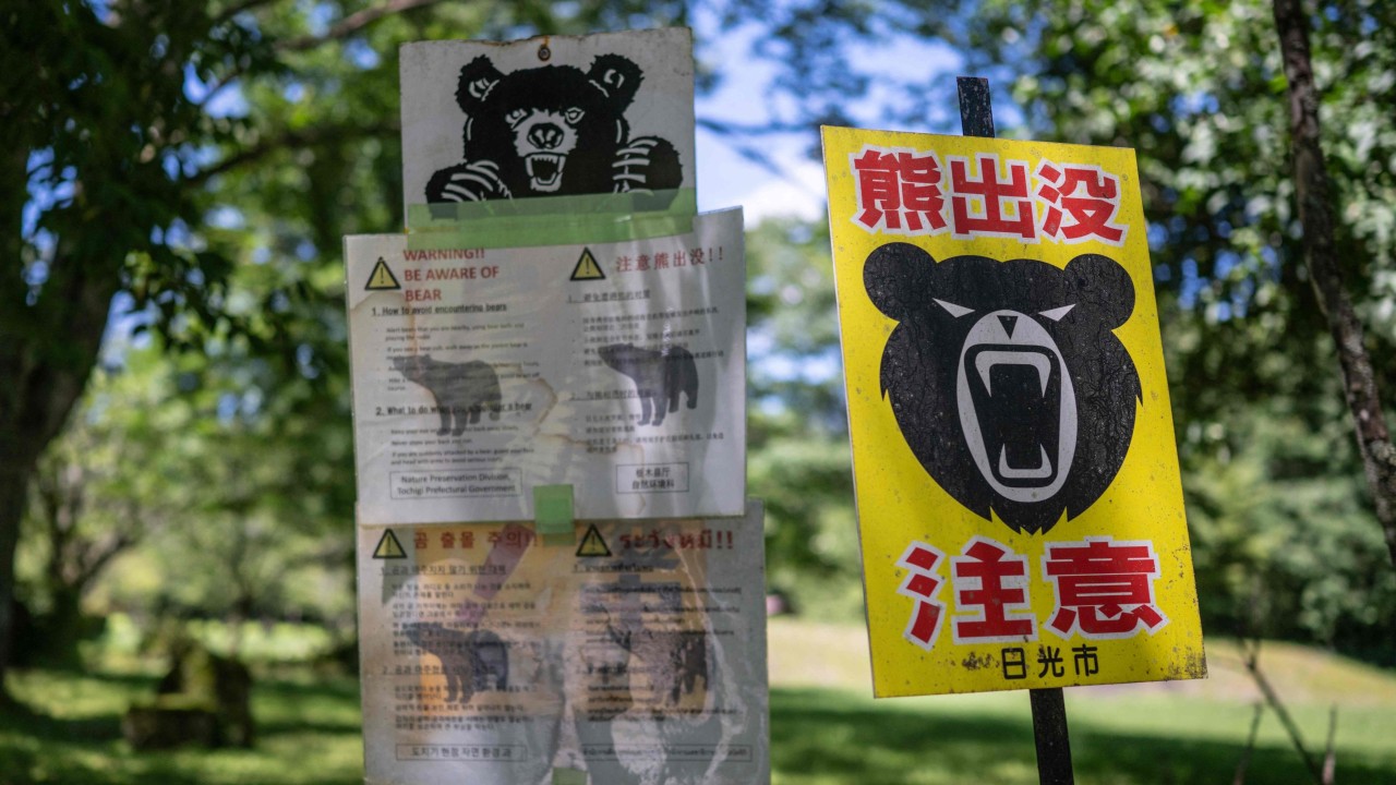 Bears and pest control: how Japan is spending its departure tax windfall
