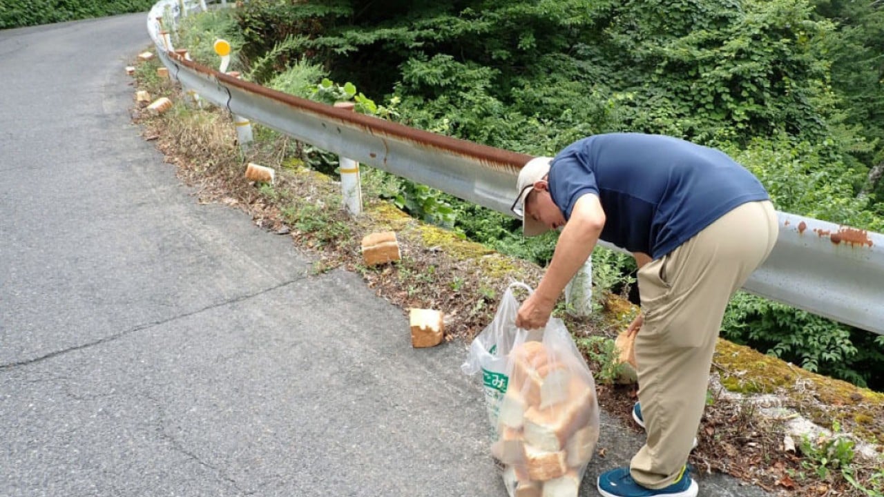 Japan probes 39kg of bread dumped in national park
