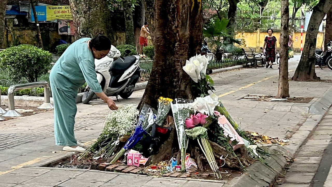 How a tree in Hanoi points to flowering of dissent among Vietnam’s Gen Z