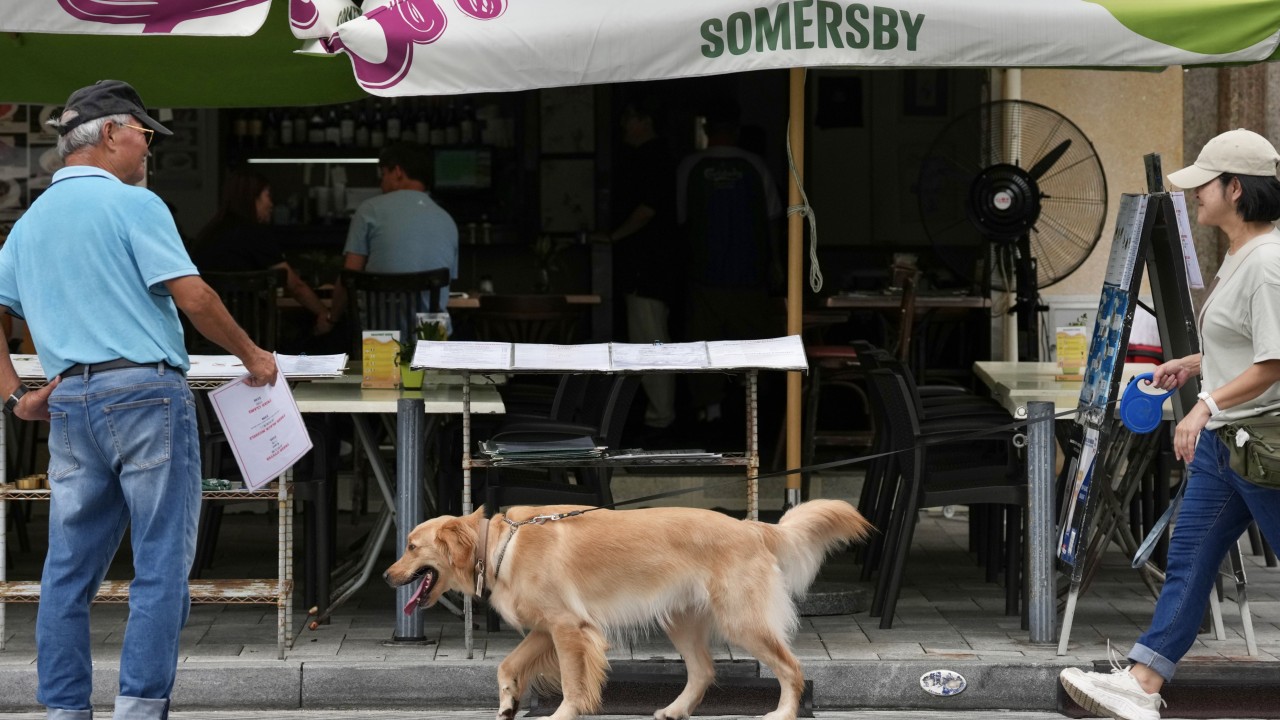 Demand for dog genetic testing surges after Hong Kong clampdown over attacks