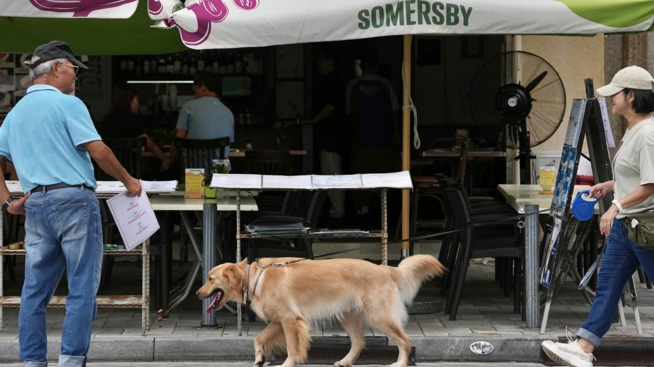 Demand for dog genetic testing surges after Hong Kong clampdown over attacks