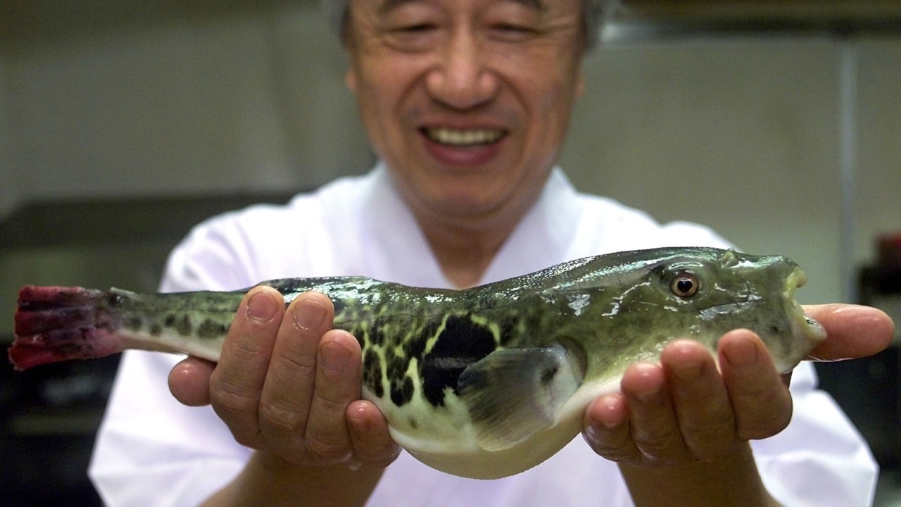 Japan’s deadliest delicacy is getting more dangerous