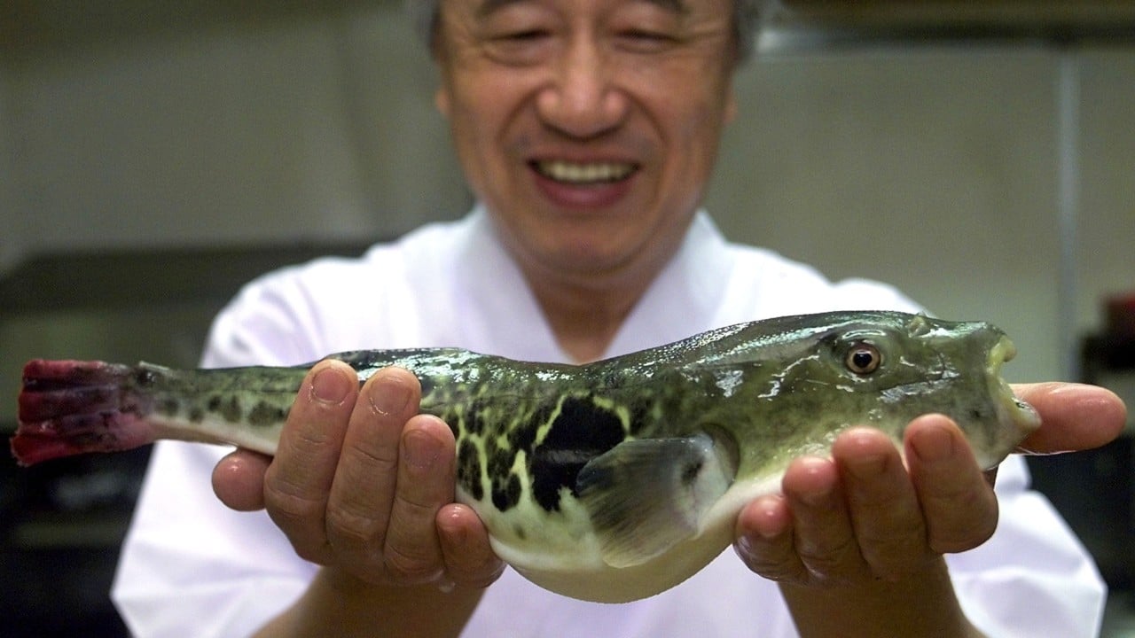 Japan’s deadliest delicacy is getting more dangerous