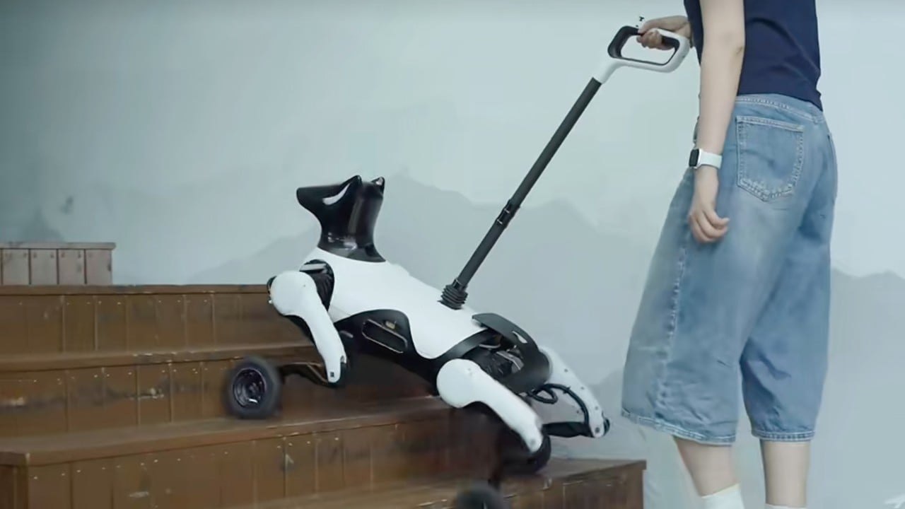 Robot guide dog debuts in China amid severe lack of furry counterparts