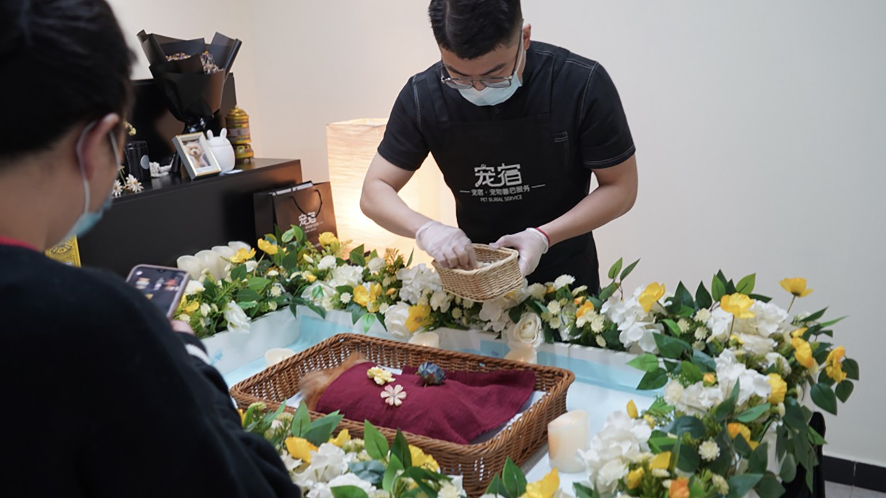 China’s billion-dollar pet funeral industry stays largely unregulated without public oversight