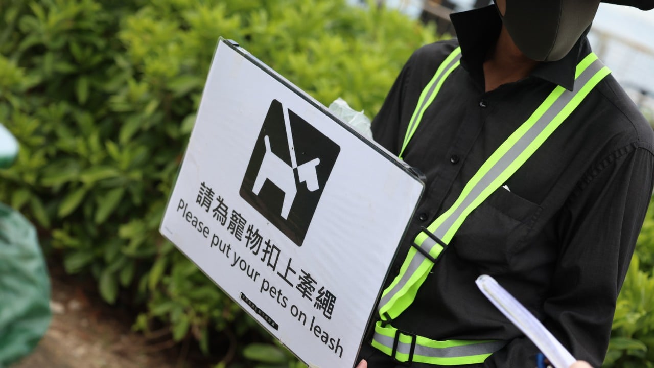 Safety or hostility? Dog owners split over Hong Kong’s crackdown on leash rules