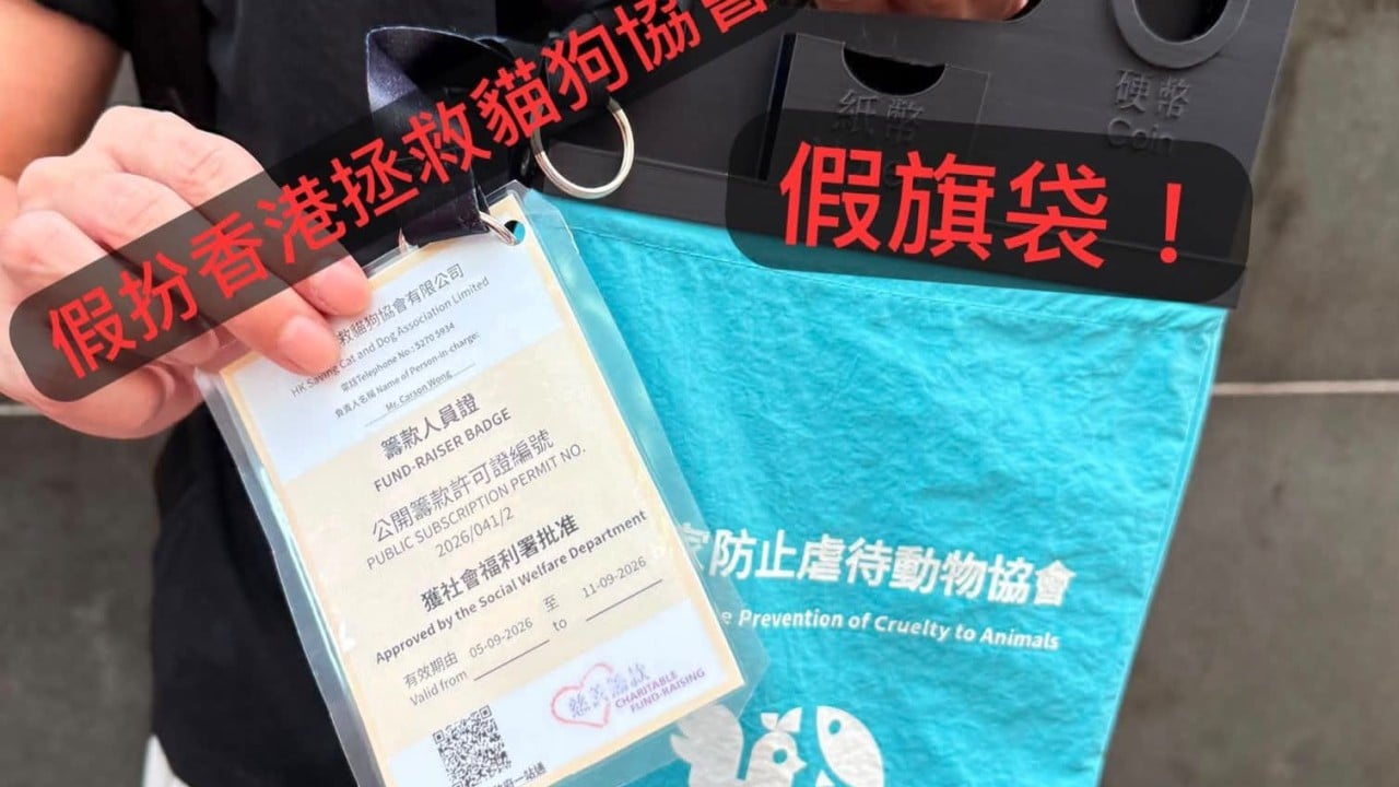 Man arrested over fake flag-day scam targeting animal charity donations