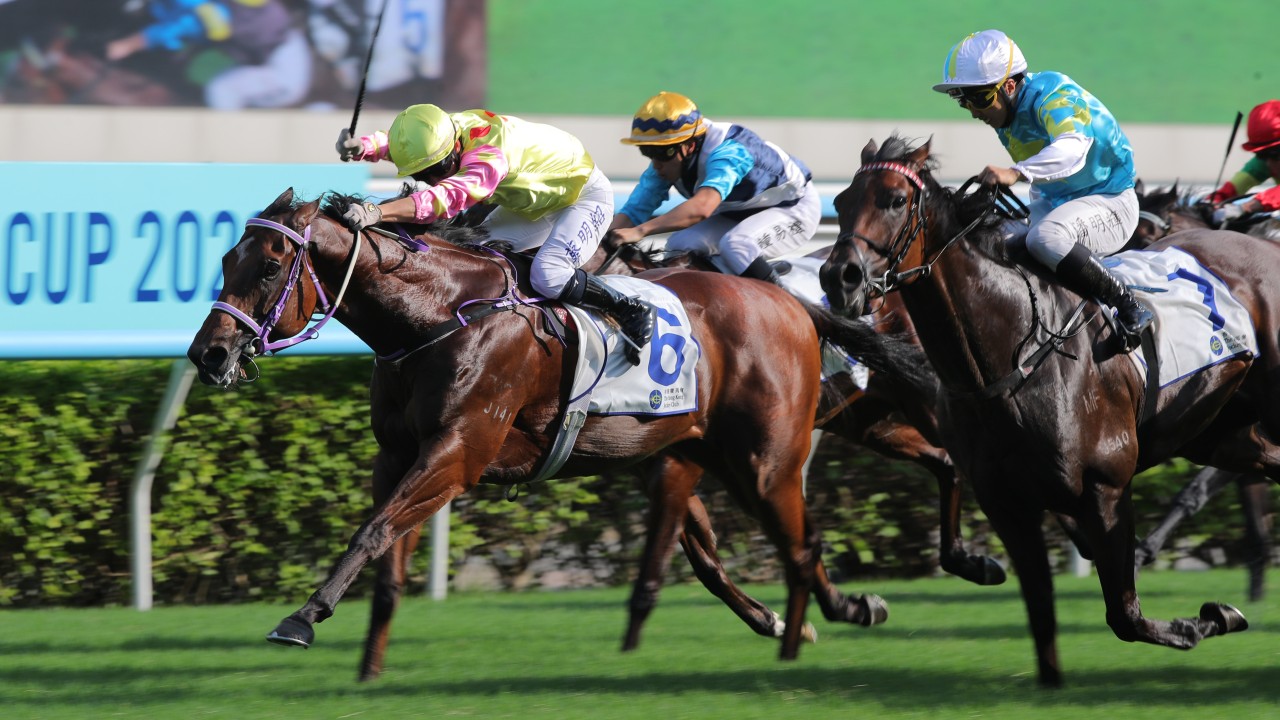 Dirt specialist Sing Dragon defies 104-1 quote to land shock upset win at Sha Tin