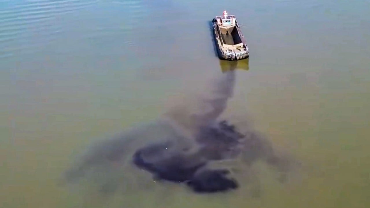 Rare drone film of suspected dumping spurs Chinese agencies into investigation