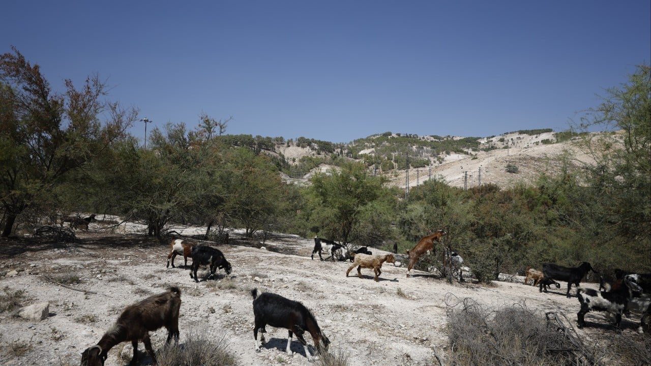 UK imposes trade ban on goods from Israeli West Bank settlements