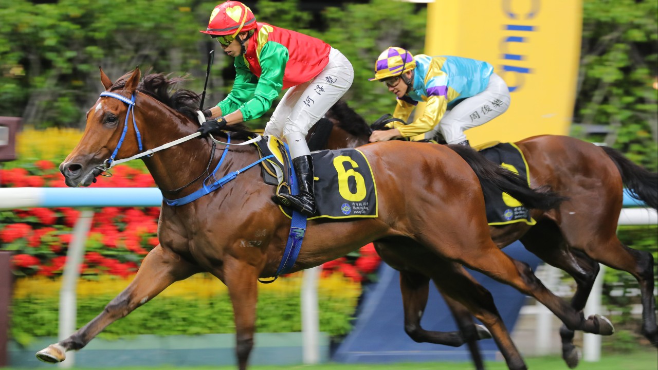 Caspar Fownes starts bid for back-to-back titles with Happy Valley double as Vincent Ho slots treble