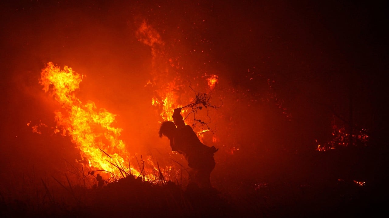 Indonesia’s wildfire emissions surge to world’s highest, data shows
