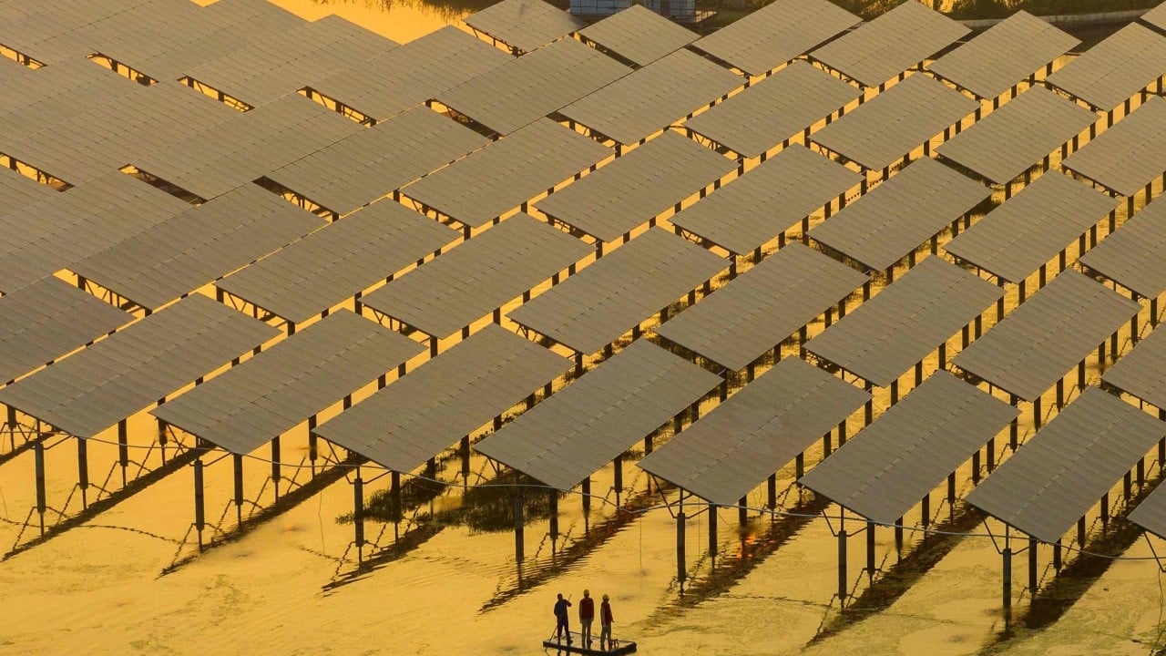 Chinese energy firms warn policy volatility complicates long-term expansion abroad