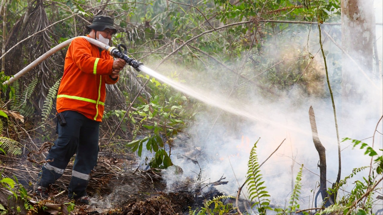 Wildfires threaten Indonesia’s new capital as carrier ordered in