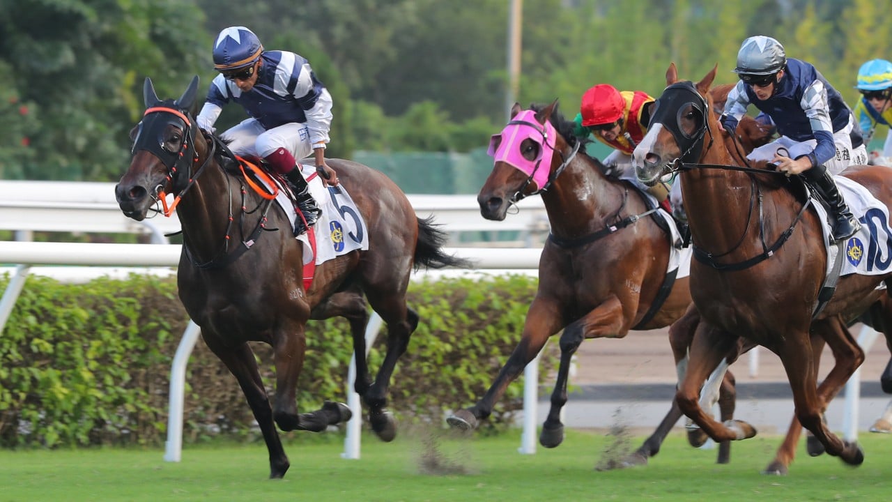 Who wins at Sha Tin? Lucy can go Sky-high on the quick backup